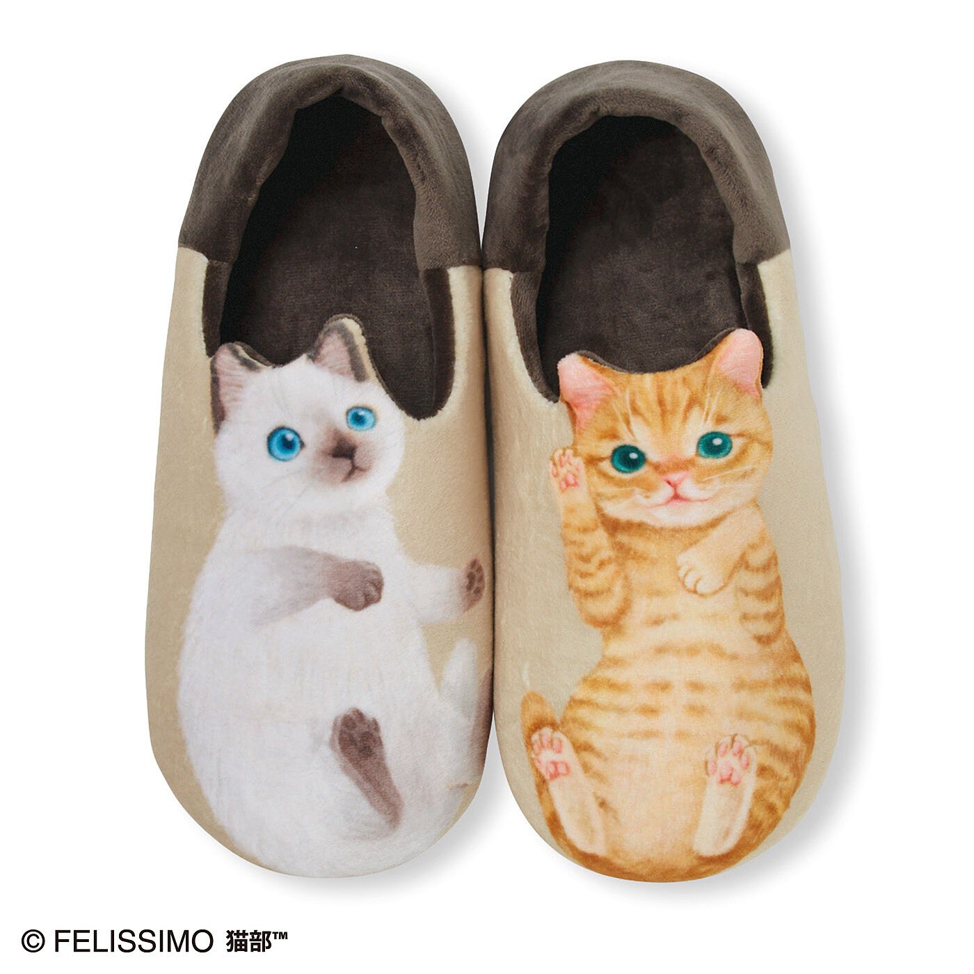 "Dance with Kitty Kitty" house slippers