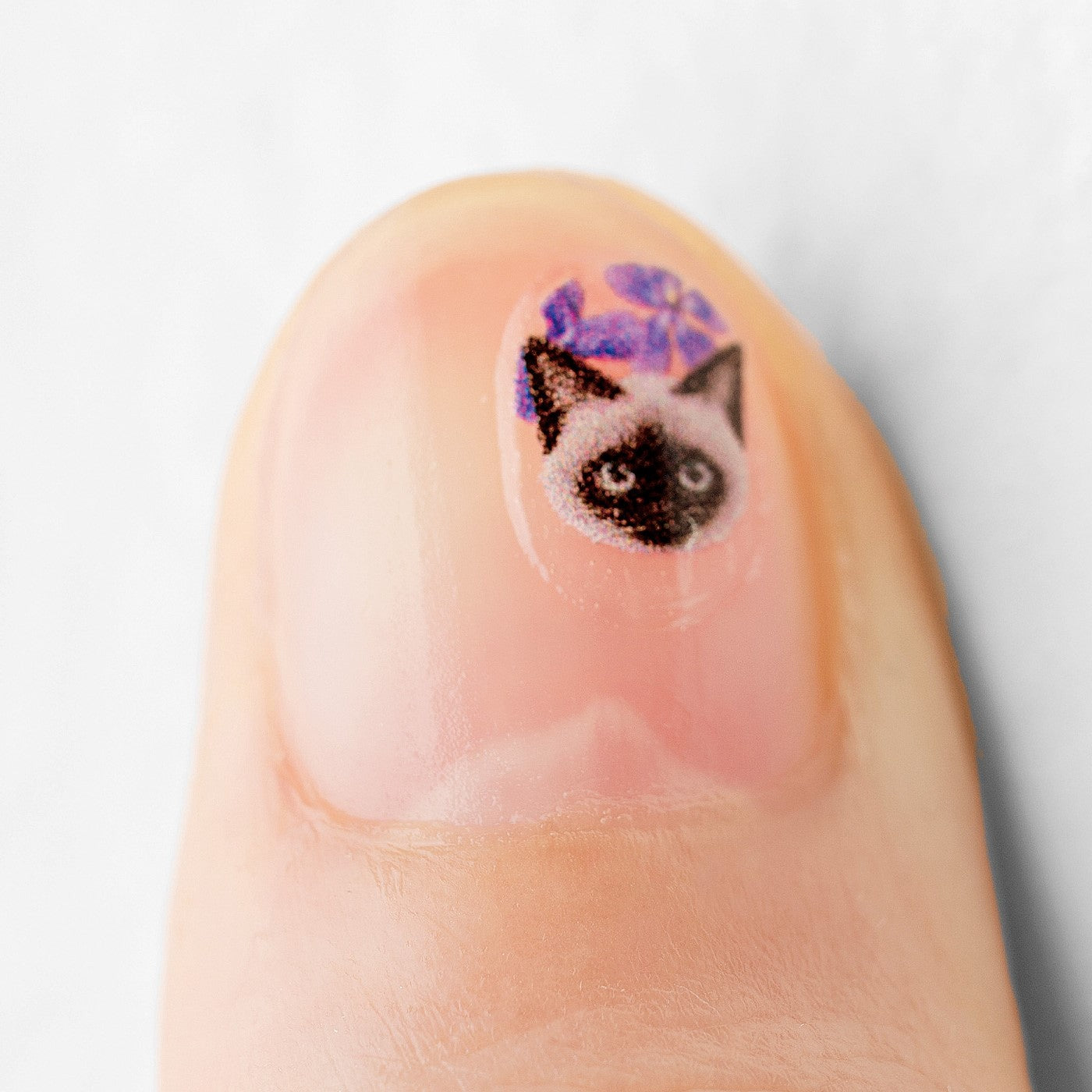 Delicate cat nail art sticker, easily completed at home