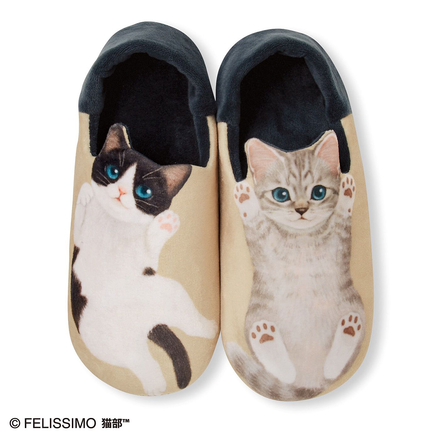 "Dance with Kitty Kitty" house slippers